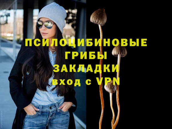 гидра Балахна