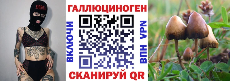 Галлюциногенные грибы Psilocybine cubensis  Купить  Ужур 